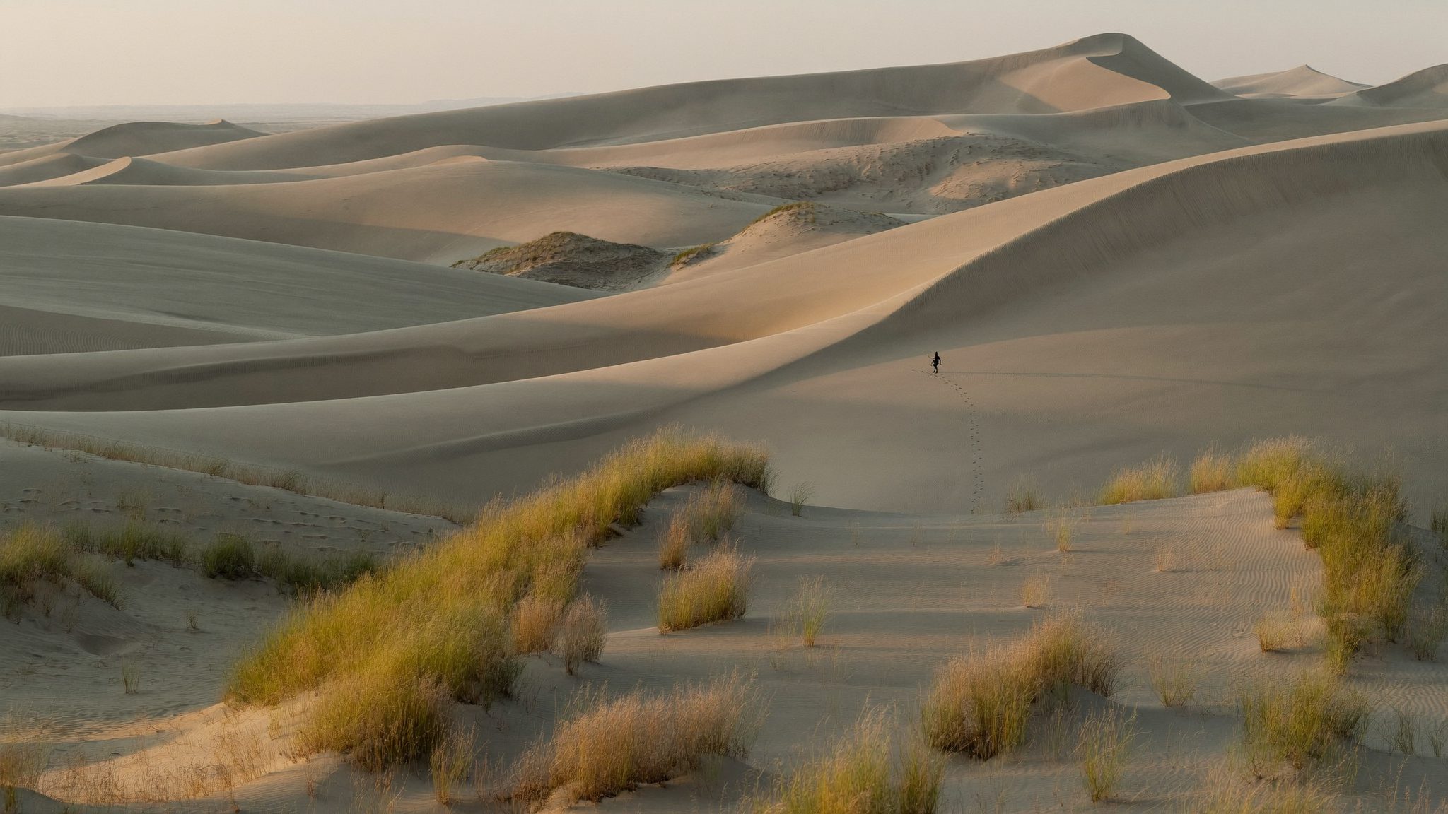 Dunes de désert et caravane à l'horizon
